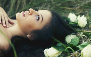 Картинка девушка, брюнетка, взгляд, цветы, розы