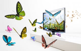 Картинка экран, крылья, бабочки