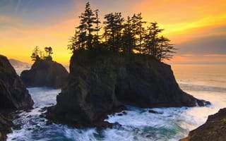 Картинка Oregon, деревья, рассвет, USА, Carpenterville, скалы, океан