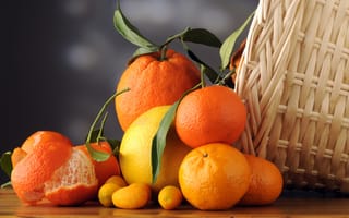 Картинка листья, мандарины, фрукты, апельсины, корзина, цитрусы, кожура