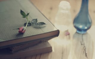 Картинка роза, книги, стол, цветок, ваза, заломы