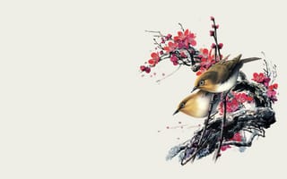 Картинка Рисунок, ветка, акварель, цветы, птицы