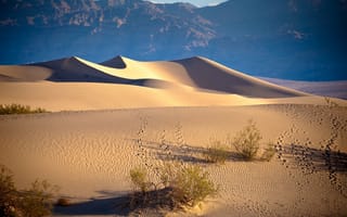 Картинка Stove Pipe Wells, писок, дюны, пустыня, California