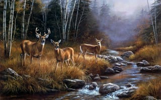 Обои Rosemary Millette, река, Rosemary Milette, туман, олени, живопись, пейзаж, October Mist, октябрь, лес, ручей