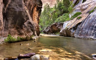 Картинка камни, скалы, река, поток, каньон, деревья