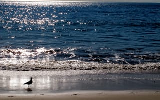 Картинка утро, природа, Canon G12, берег, море
