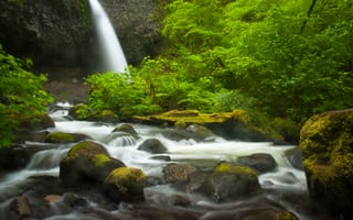 Обои Oregon, камни, река, водопад, лес, Ponytail Falls, Columbia River Gorge