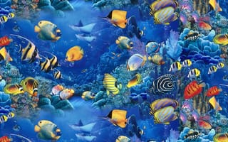 Картинка рыбки, красиво, голубое, Lassen, аквариум, море, Christian Riese