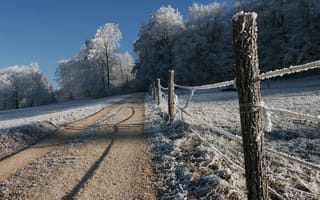 Картинка дорога, зима, деревья, снег, иней, природа