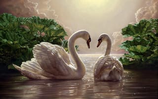 Картинка лебеди, романтика, небо, живопись, птицы, пара, белые