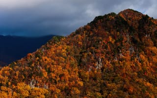 Картинка Япония, краски, тучи, лес, Японские Альпы, Хонсю, горы, небо, Нагано, осень
