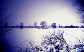 Картинка объектив, зима, куст, снег, небо, горизонт, деревья