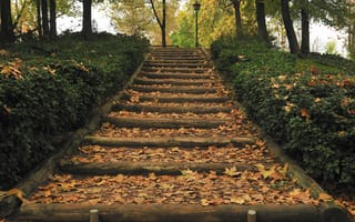 Картинка осень, лестница, парк, кусты, фонарь, листья