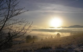 Картинка утро, mist, river, forest, туман, природа, steam, fog, trees, winter, snow, рассвет