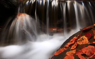 Обои листья, вода, осень, камень, красные, водопад