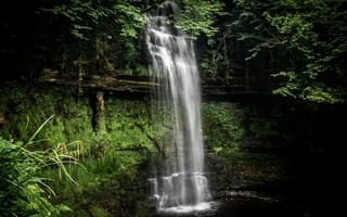 Картинка водопад, деревья, мох