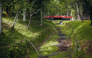 Картинка мост, деревья, природа