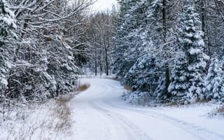 Картинка тропа, следы, снег