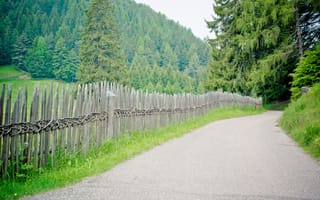 Картинка забор, дорога, деревья