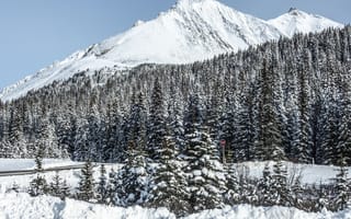 Картинка гора, вершина, снег