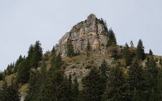 Картинка гора, скала, деревья