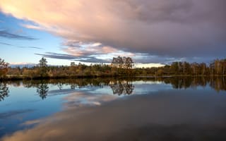 Картинка деревья, отражение, озеро