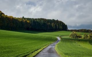 Картинка дорога, трава, поле