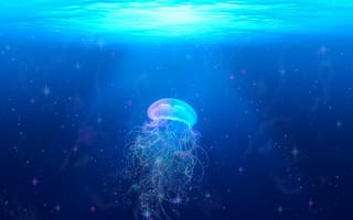 Картинка медуза, подводный мир, плавать