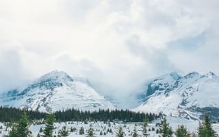 Картинка горы, снег, вершины