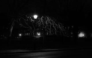 Картинка фонарь, ночь, дерево