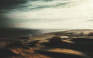 Картинка песок, трава, пустынно