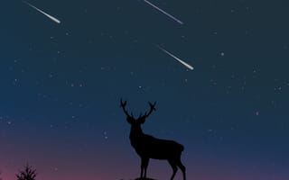 Картинка олень, силуэт, сумерки