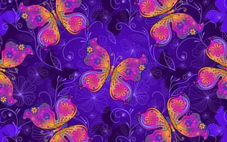 Картинка бабочки, разноцветный, градиент