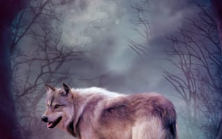 Картинка волк, арт, лес