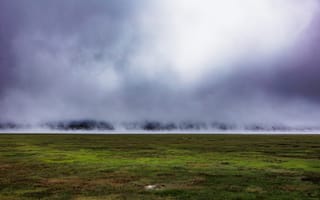 Картинка поле, трава, туман