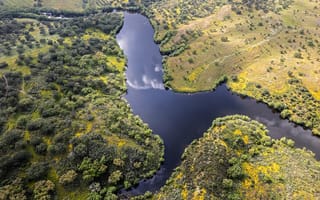 Картинка река, луга, деревья