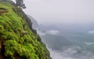 Картинка пейзаж, обрыв, дерево