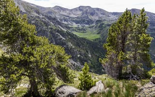 Картинка пейзаж, горы, дерево