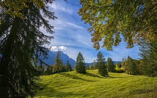 Картинка деревья, пейзаж, луг