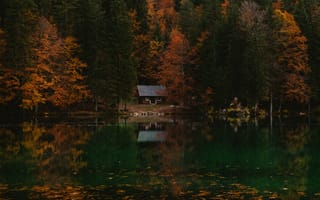Картинка лес, домик, осень