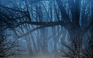 Картинка лес, туман, светлячки