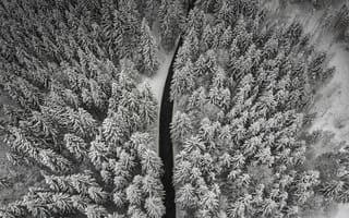 Картинка зима, деревья, вид сверху