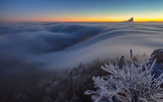 Картинка деревья, зима, мороз