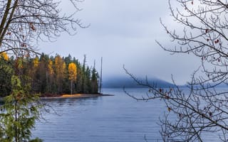 Картинка лес, пейзаж, осень