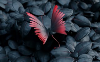 Картинка бабочка, листья, крылья