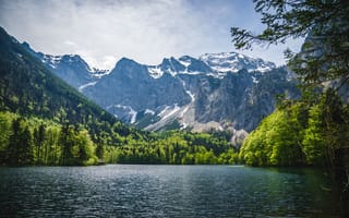 Картинка озеро, деревья, горы