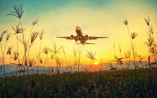 Картинка самолет, трава, взлет