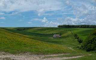 Картинка деревья, поле, холмы