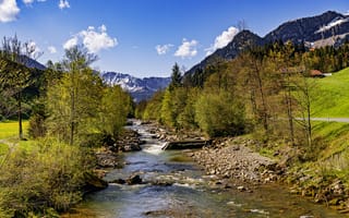 Картинка деревья, река, горы