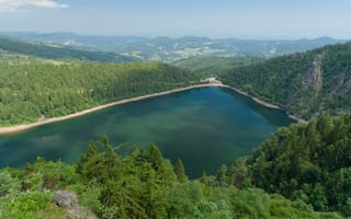 Картинка озеро, деревья, лес